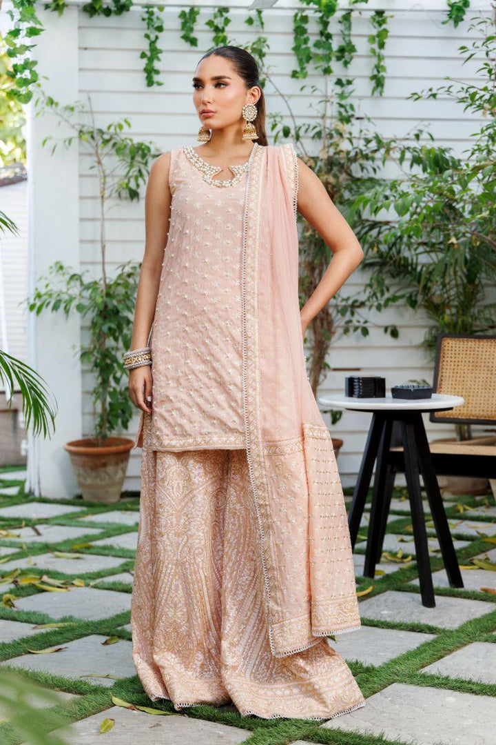 Shehrnaz - SHK-1305 - Pink - Chiffon - 3 Piece