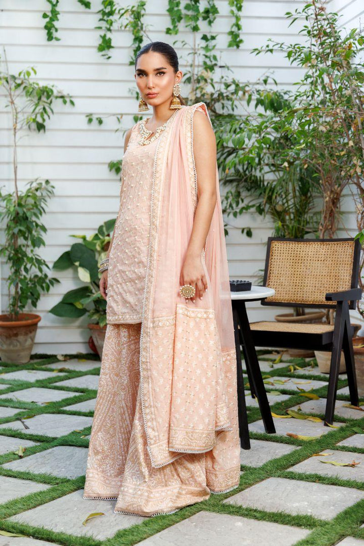 Shehrnaz - SHK-1305 - Pink - Chiffon - 3 Piece