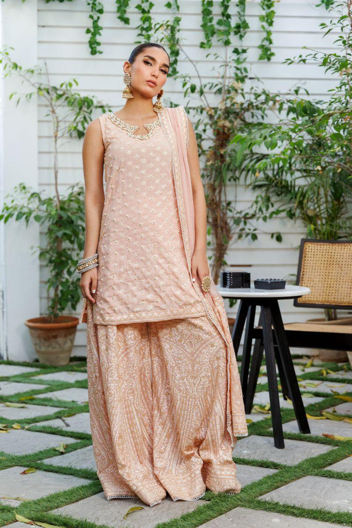 Shehrnaz - SHK-1305 - Pink - Chiffon - 3 Piece