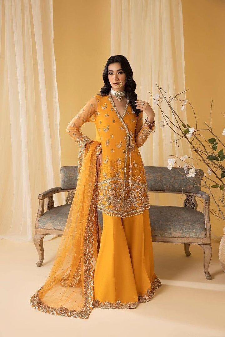 Nuriyaa - AMBER - Net Cotton - Orange - 3 Piece - Studio by TCS