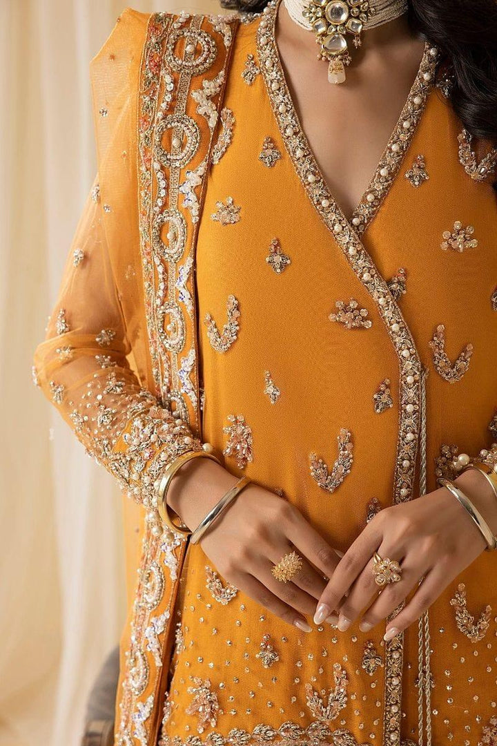 Nuriyaa - AMBER - Net Cotton - Orange - 3 Piece - Studio by TCS