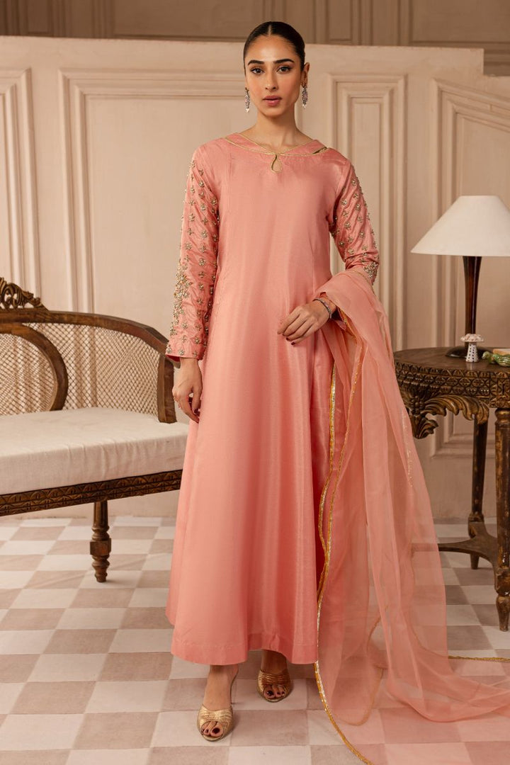 Allure by Ih - ALORA - Blush Pink - Katan Silk & Organza - 3 Piece