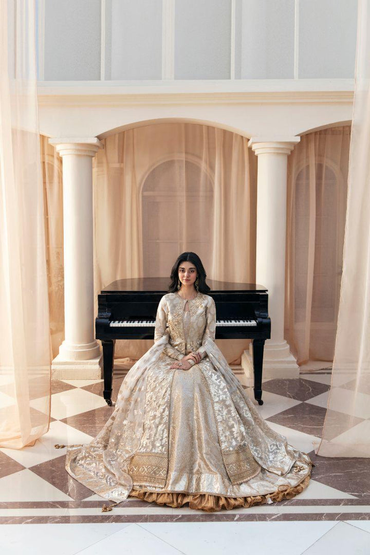 Musferah Saad - Noor's Symphony - Tissue & Organza - 3 Piece