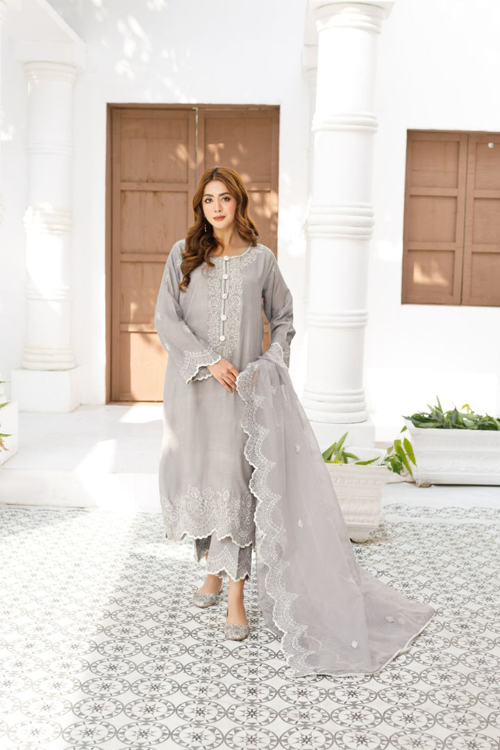 Anayra Amal - Abr - Silver Grey - Dull Silk - 3 Piece