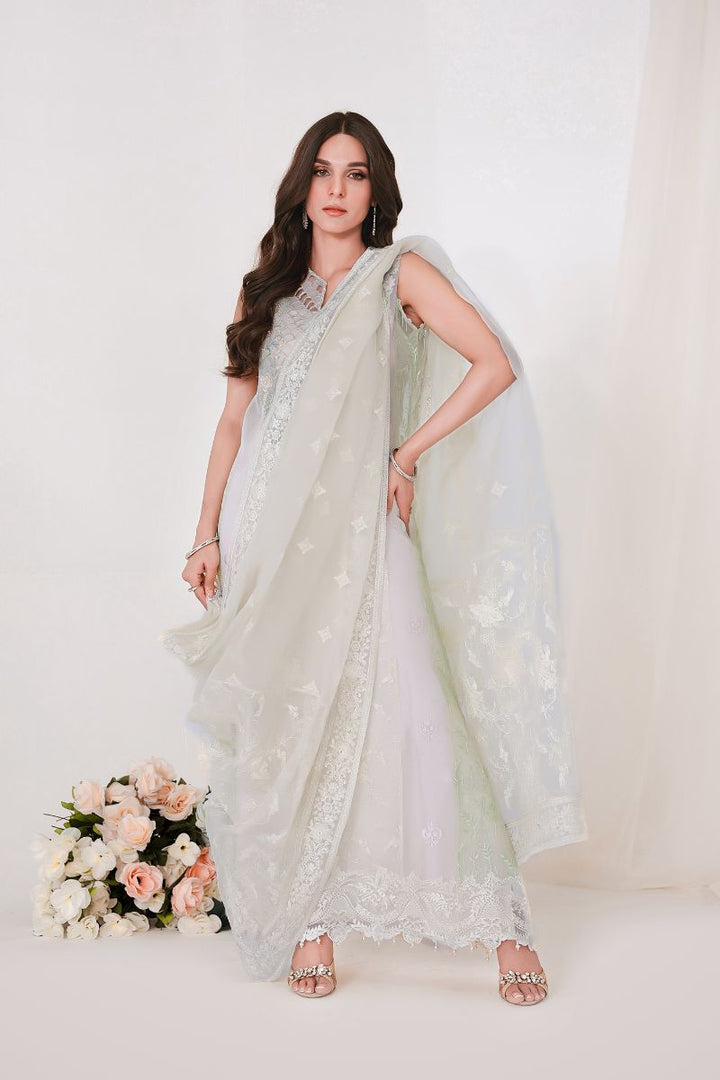 Reema Ahsan - GEET - Organza  - Skin  - 3 Piece