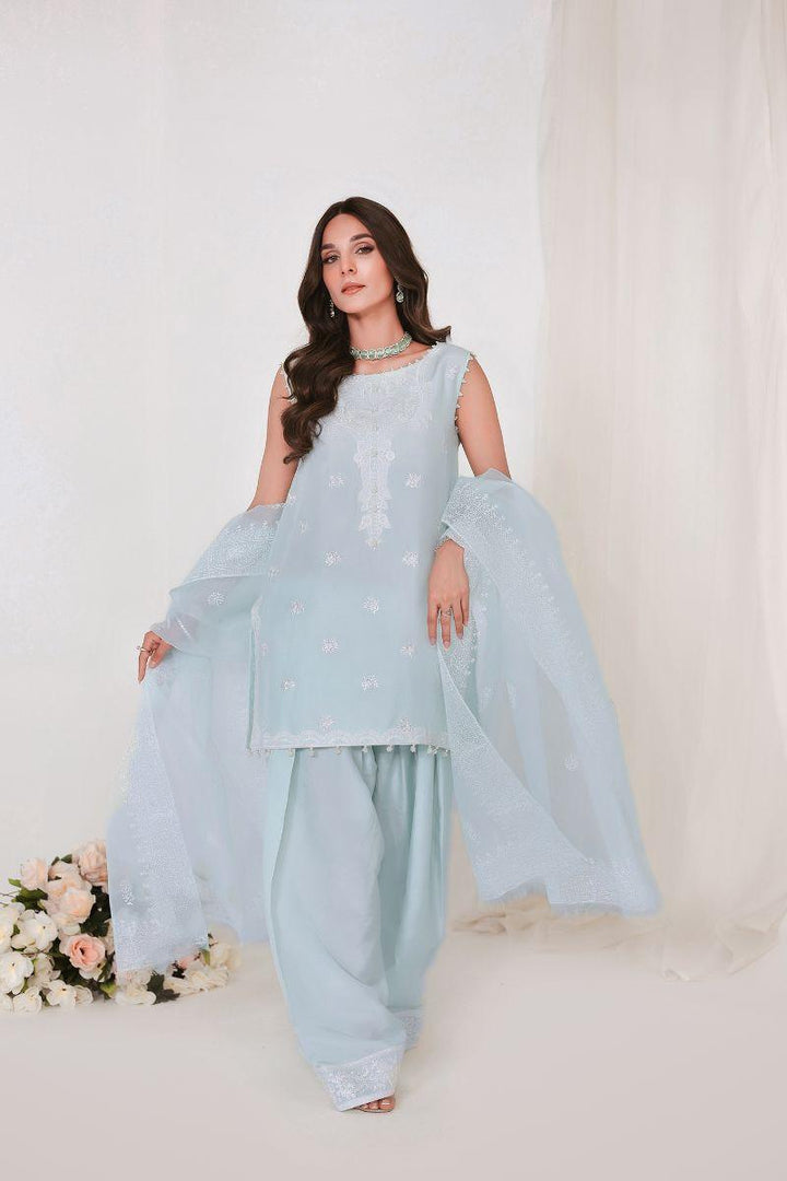 Reema Ahsan - JIYA - Korean raw silk  - Ice blue  - 3 Piece