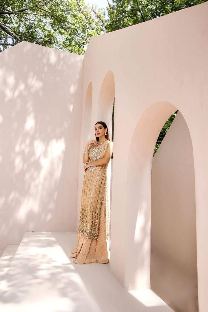 Malook - Chandni - Chiffon - Fawn - 3 Piece - Studio by TCS