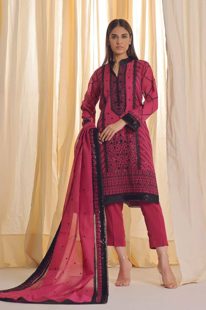 Rizwan Beyg Design - Alara - Organza Net - Pink - 2 Piece