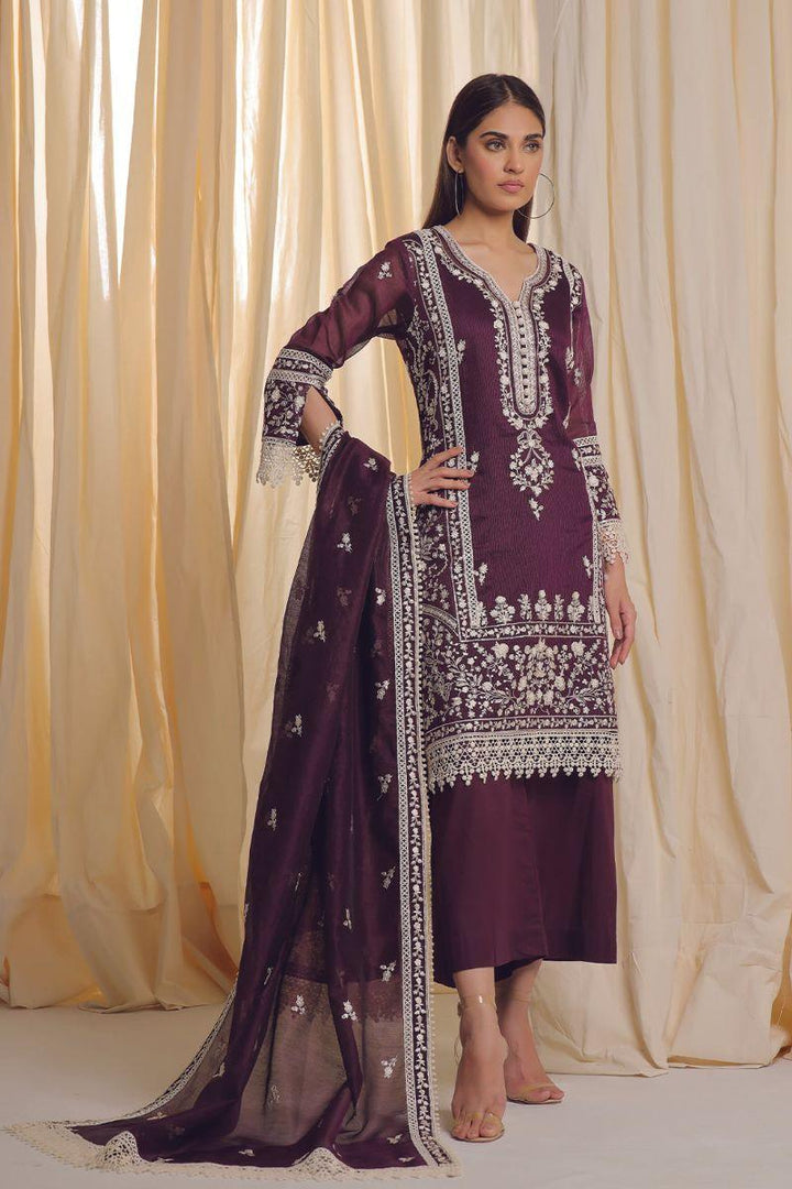 Rizwan Beyg Design - Amritsar - Cotton Net - Purple - 2 Piece