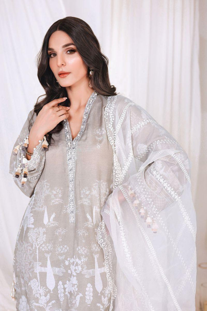 Reema Ahsan - NIA - Korean raw silk  - Skin  - 3 Piece