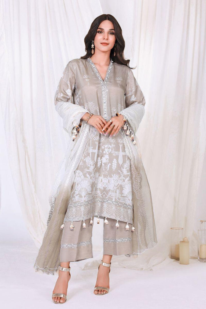 Reema Ahsan - NIA - Korean raw silk  - Skin  - 3 Piece