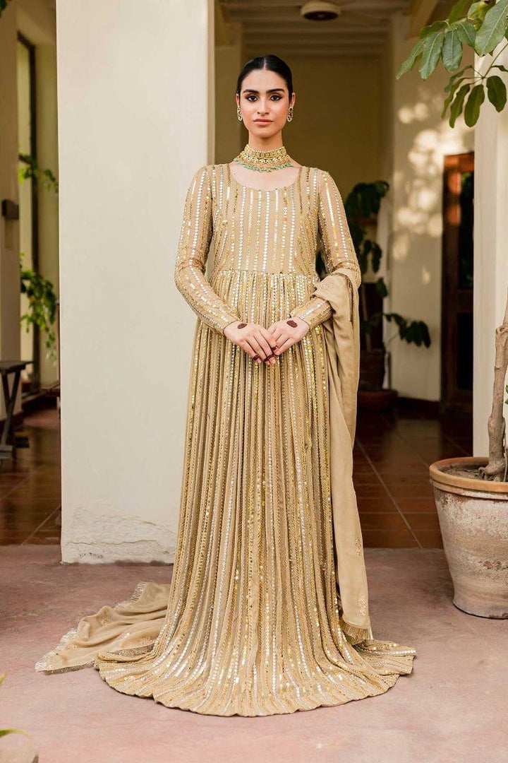 Allure by Ih - ZAMAL - Chiffon & Silk - Golden - 4 Piece - Studio by TCS