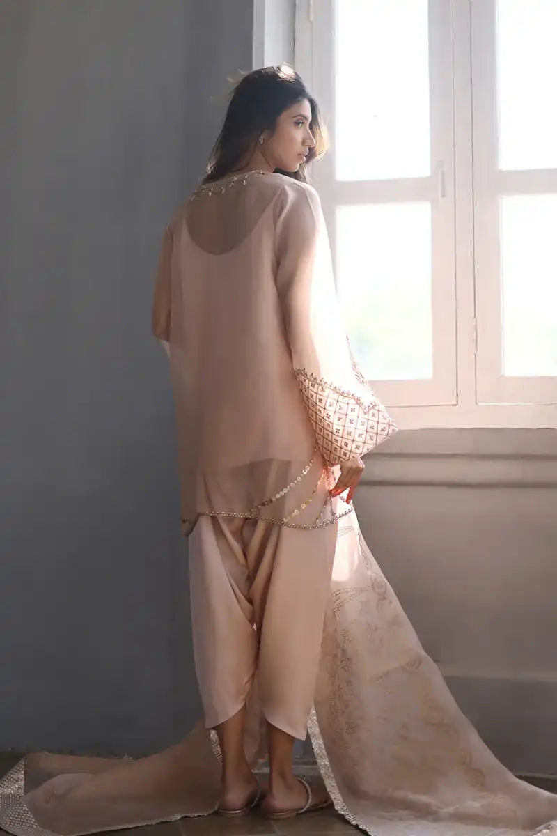 Sania Maskatiya - Amaya - Organza & Raw Silk - 3 Piece