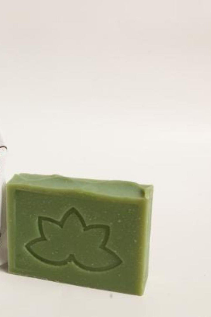 Aliya B - Avocado Soap - Studio by TCS