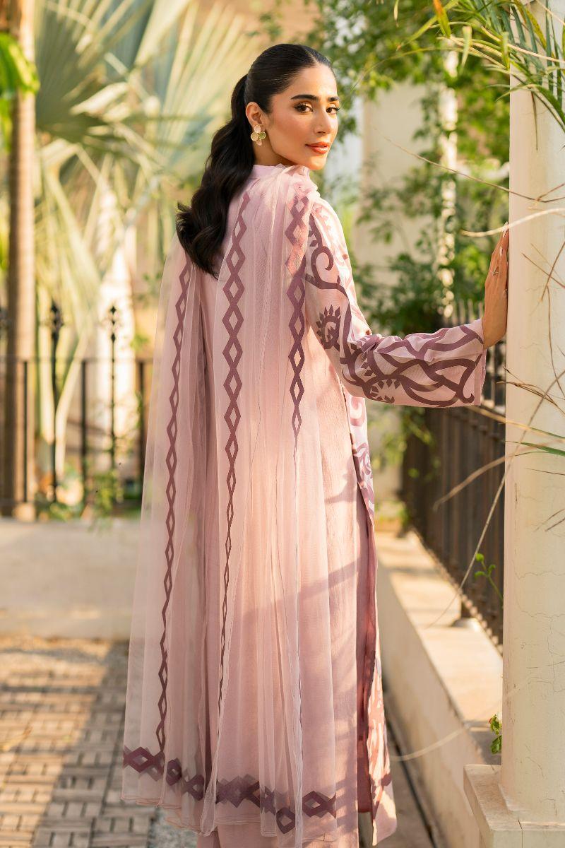 Natasha Kamal - Bonita - pink applique - Cotton net lined with cotton silk - 3 Piece