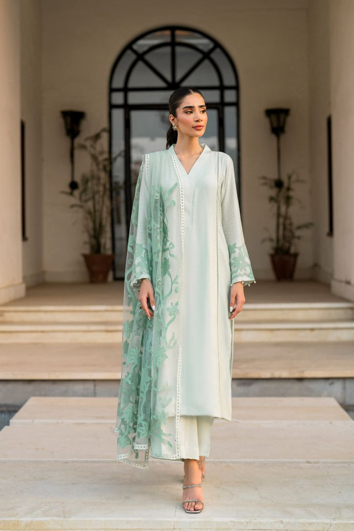 Natasha Kamal - Carmen - green applique - Cotton net lined with cotton silk - 3 Piece