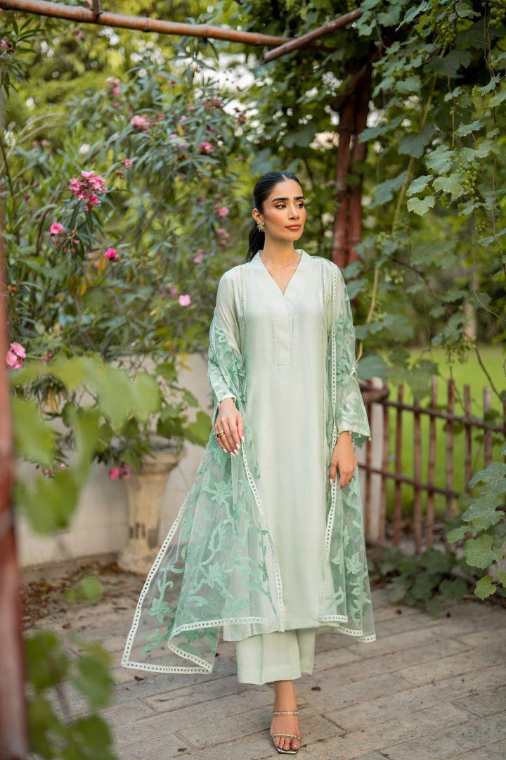 Natasha Kamal - Carmen - green applique - Cotton net lined with cotton silk - 3 Piece