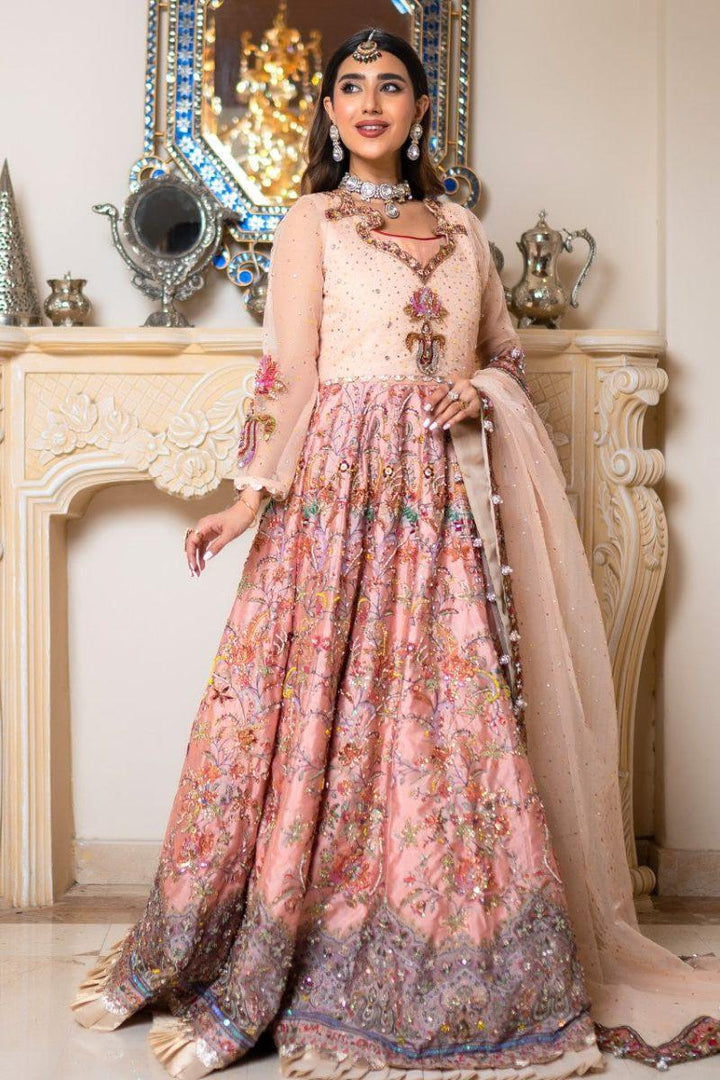 Zahra Ahmad - GLB-08 - Multy - Organza - 2 Piece