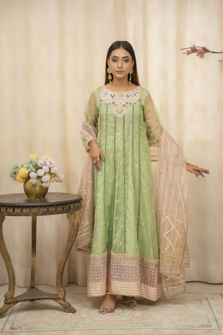 Sadia Aamir - Zyra - Sage Green - Organza - 2 Piece