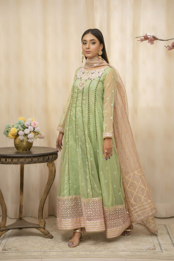 Sadia Aamir - Zyra - Sage Green - Organza - 2 Piece