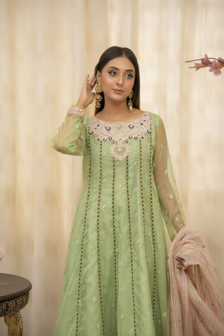 Sadia Aamir - Zyra - Sage Green - Organza - 2 Piece