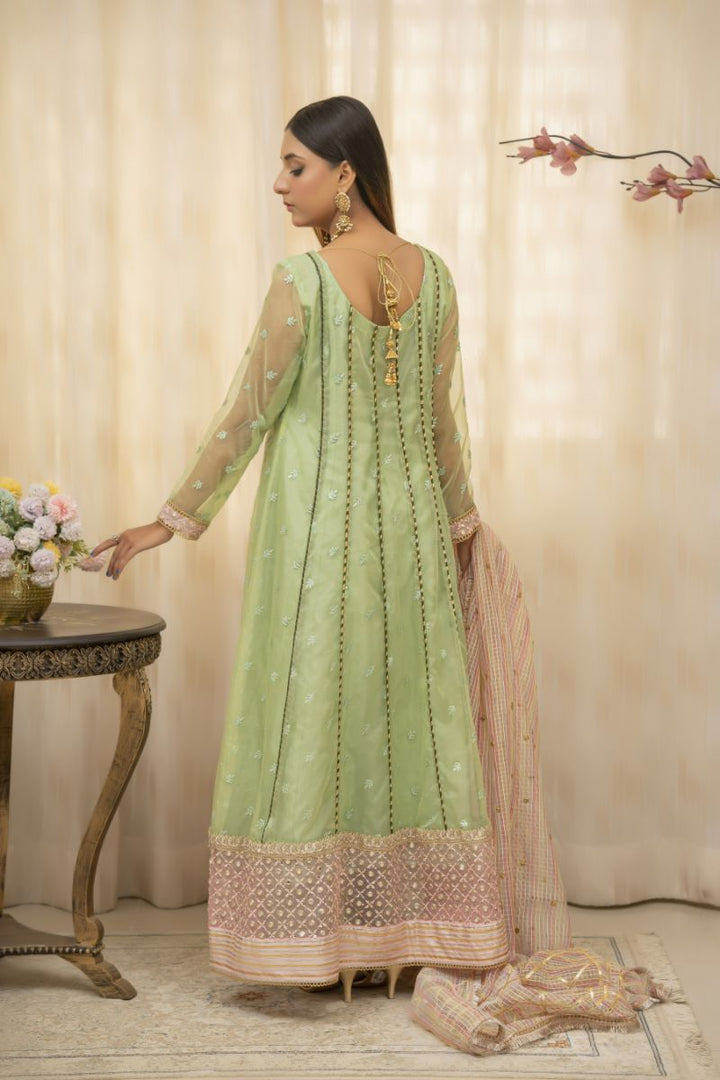 Sadia Aamir - Zyra - Sage Green - Organza - 2 Piece