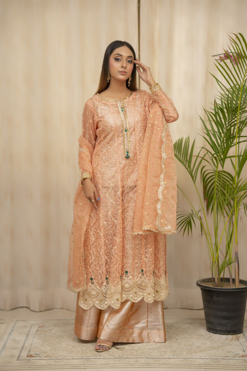 Sadia Aamir - Jhankar - Coral  - Organza - 4 Piece