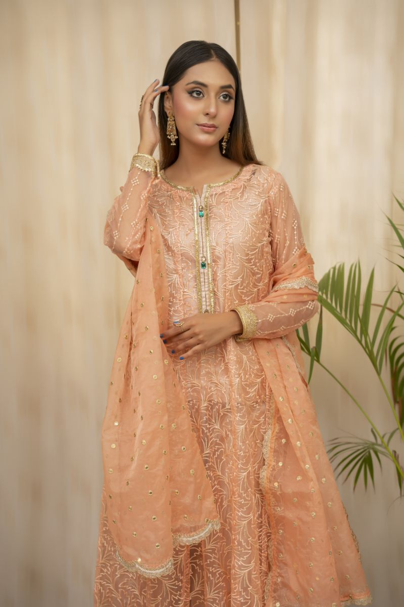 Sadia Aamir - Jhankar - Coral  - Organza - 4 Piece