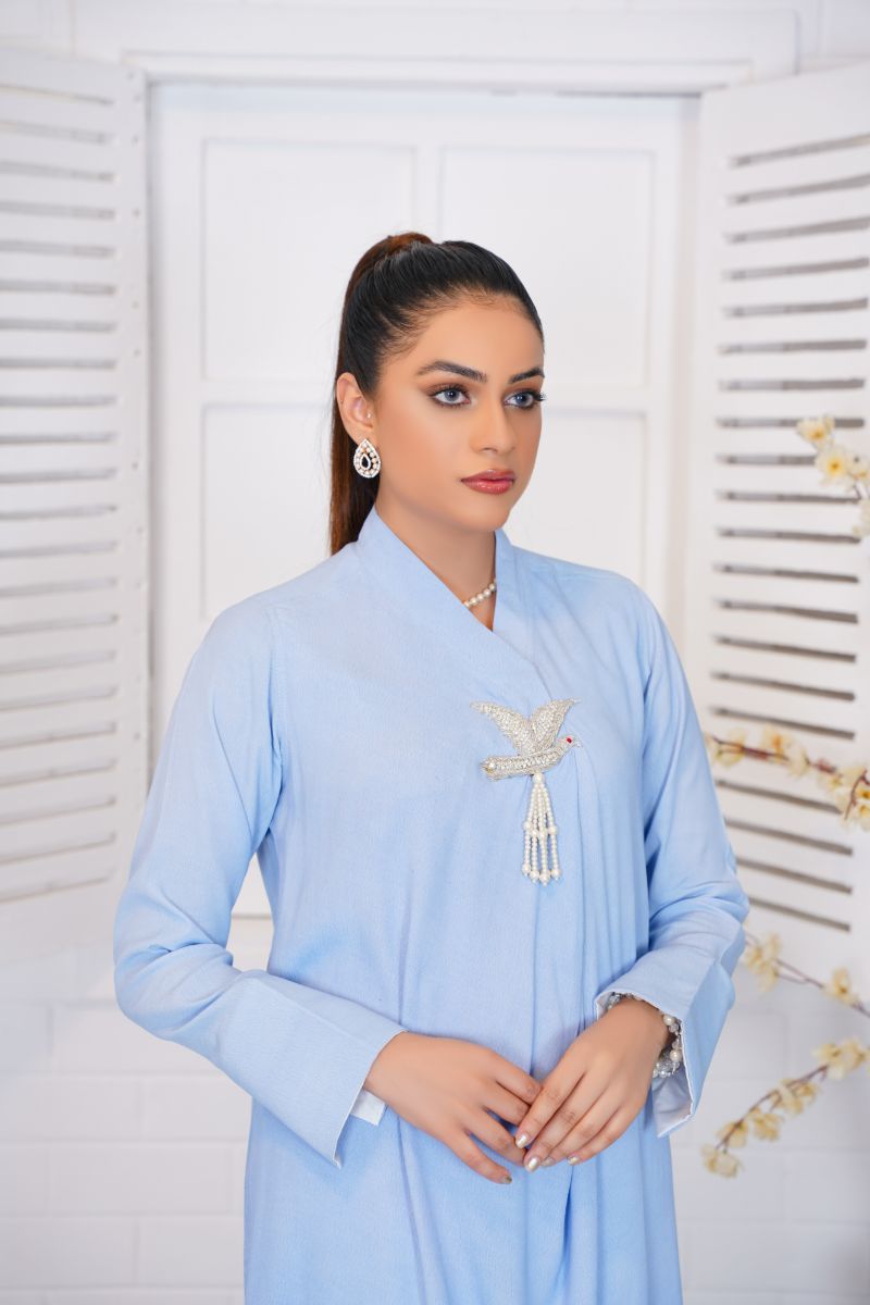 Anayra Amal - Subh-e-Nau - Sky Blue - Grip Georgette - 2 Piece