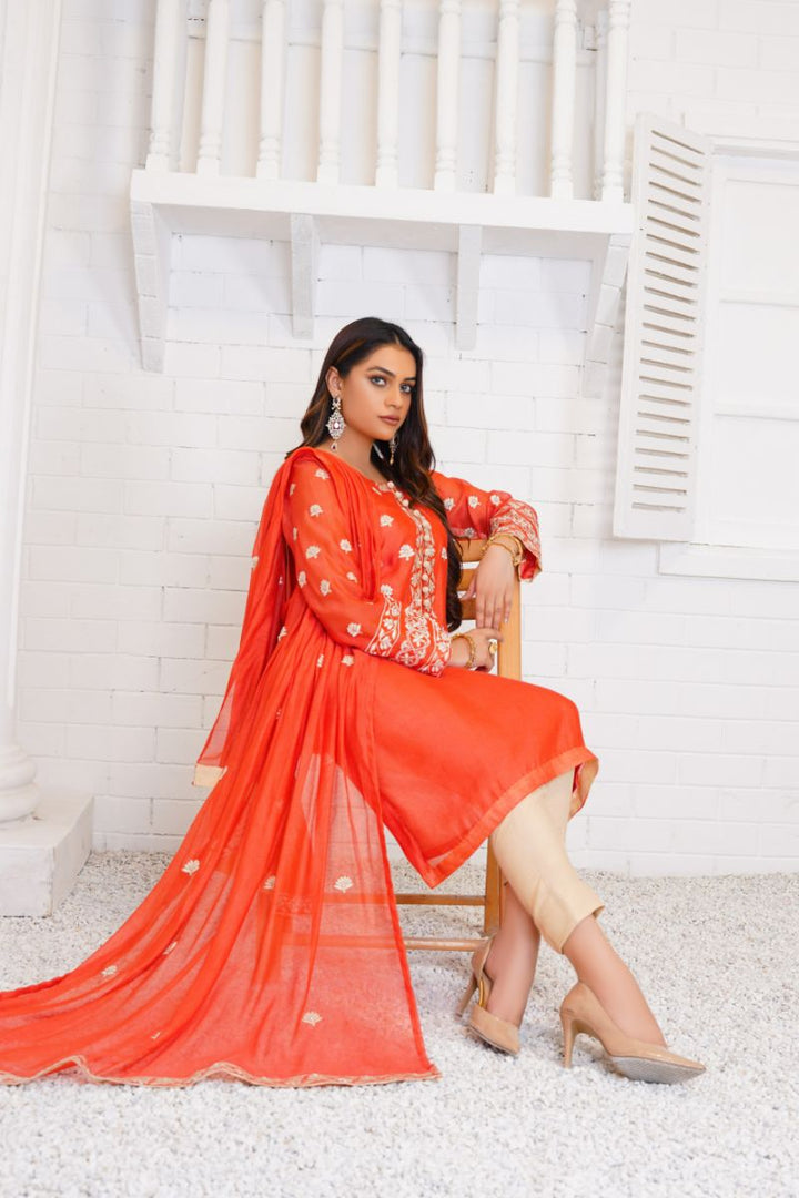 Anayra Amal - Gulshan - Coral - Khadi Net - 3 Piece