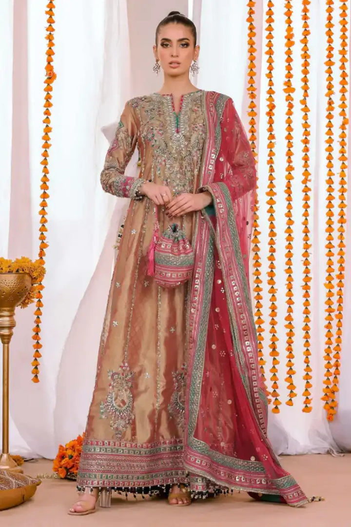 Reema Ahsan - Elyana - Tissue, Net & Jamawar - Rust  - 3 Piece