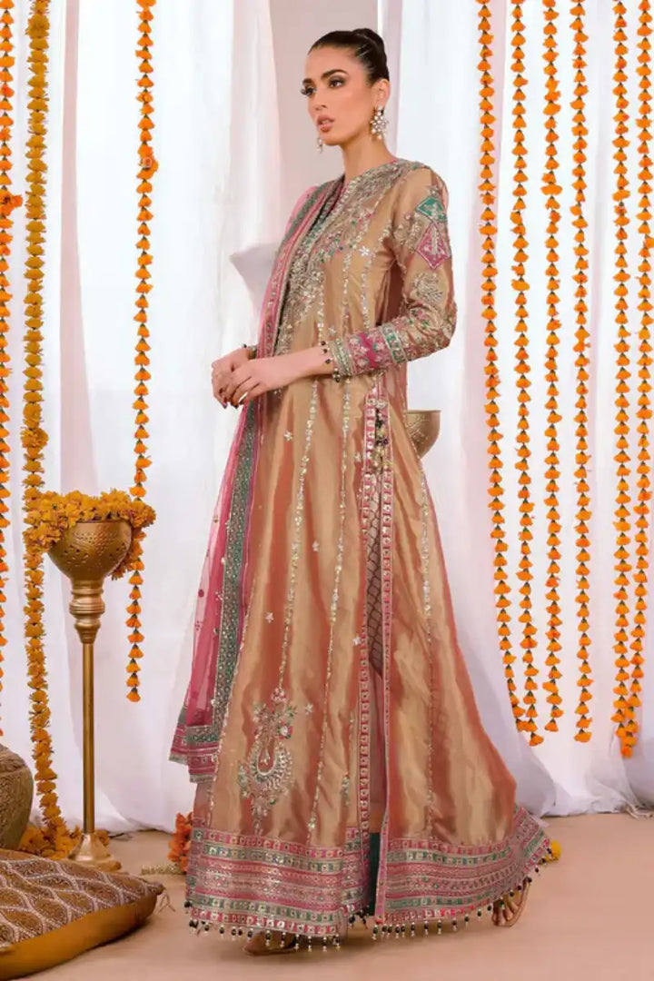 Reema Ahsan - Elyana - Tissue, Net & Jamawar - Rust  - 3 Piece