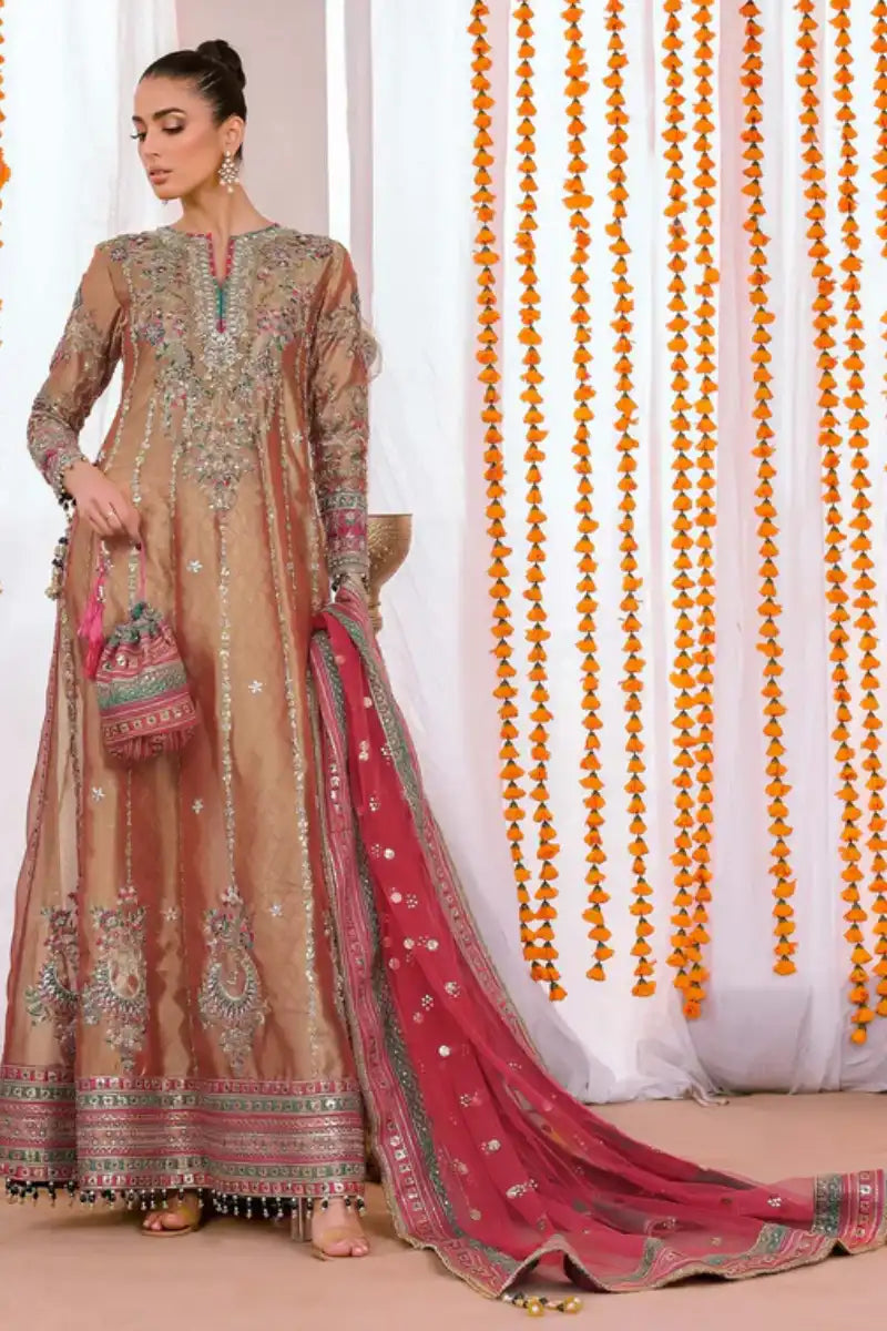 Reema Ahsan - Elyana - Tissue, Net & Jamawar - Rust  - 3 Piece