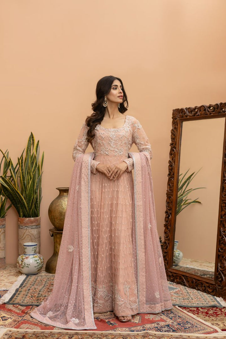 Khayal by Shaista Hasan - Blush Pishwas - French Net - 3 Piece