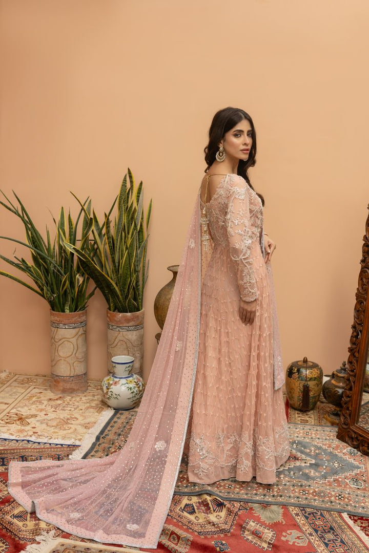 Khayal by Shaista Hasan - Blush Pishwas - French Net - 3 Piece