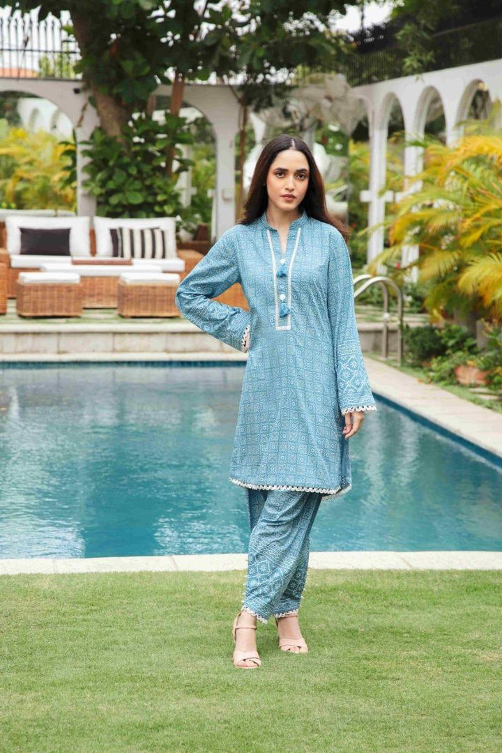 Shehrnaz - SHK-1193 - Light blue - cotton chikan - 2 Piece - Studio by TCS