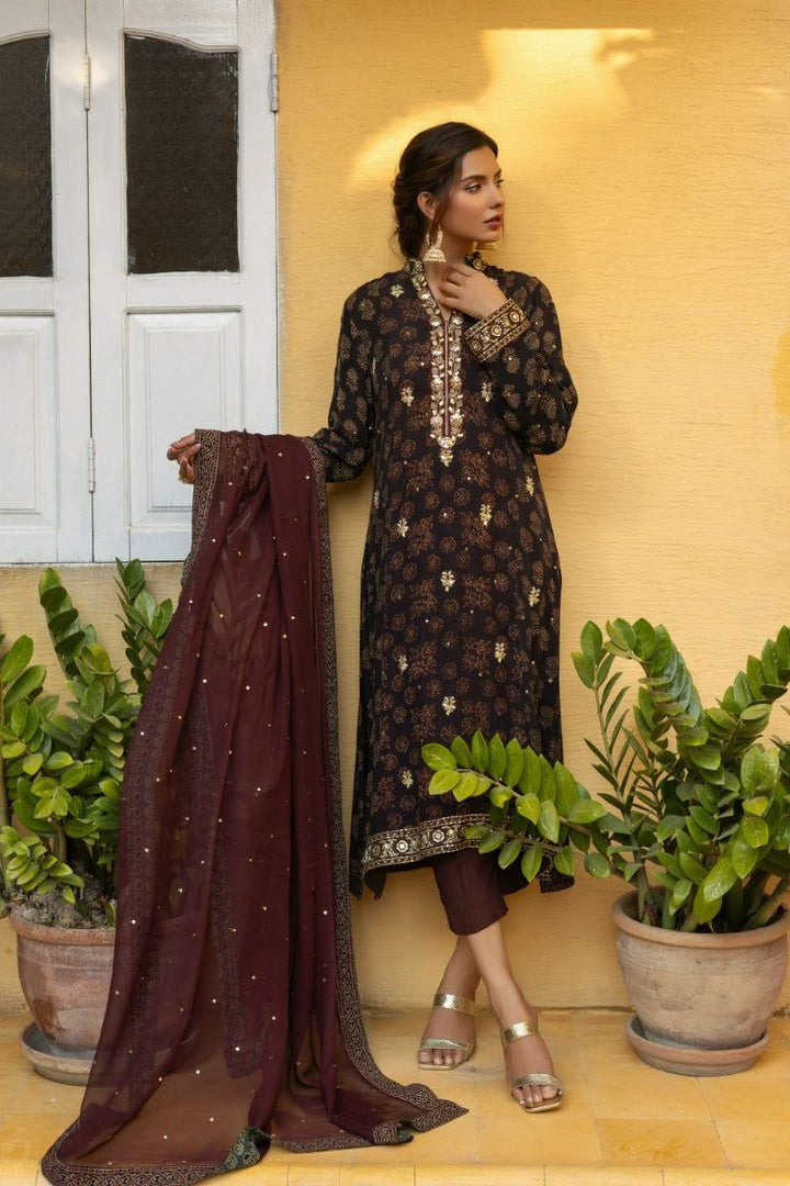 Insia Sohail - Ajrak Kurta - Earthly brown - 3 Piece - Chiffon - Studio by TCS