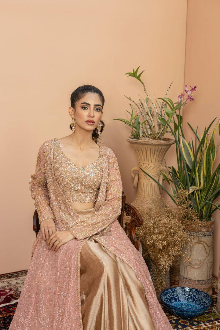 Khayal by Shaista Hasan - Stardust - Chiffon & Silk - 3 Piece