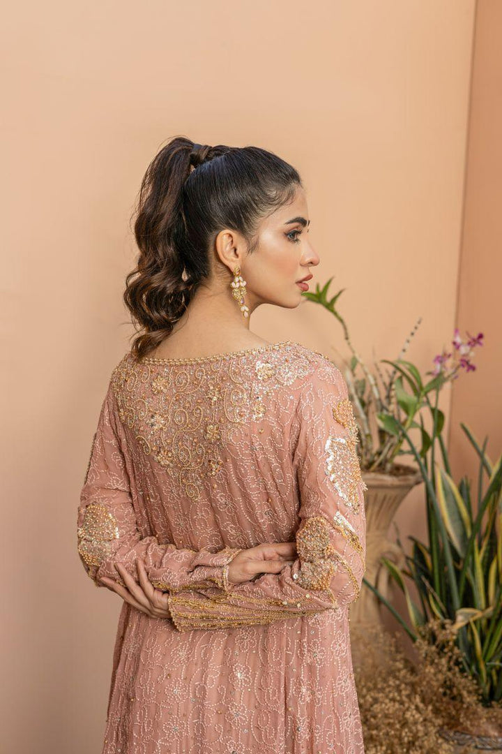 Khayal by Shaista Hasan - Stardust - Chiffon & Silk - 3 Piece