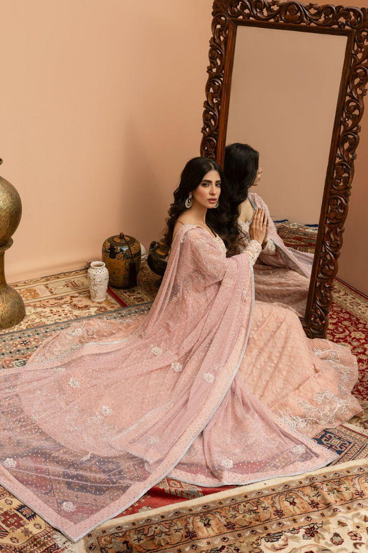 Khayal by Shaista Hasan - Blush Pishwas - French Net - 3 Piece