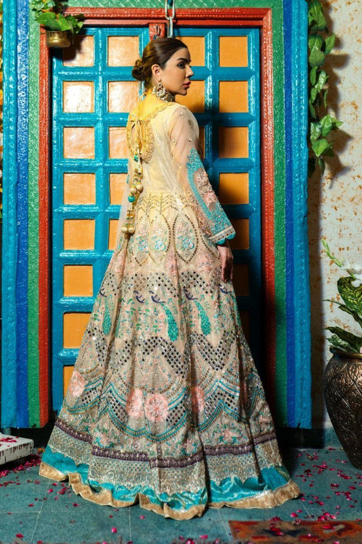 Zahra Ahmad - Eb-110 - Multy - Organza - 2 Piece