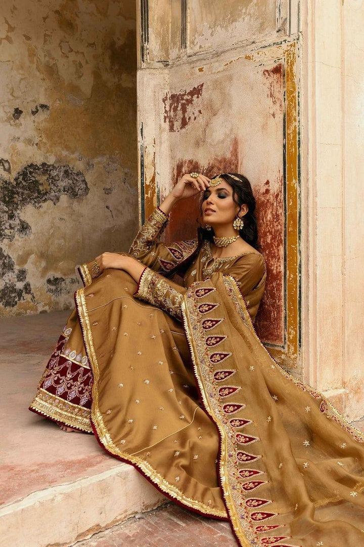 Basit Sipra - MUMTAZ D01 - Silk & Organza - brown - 3 Piece - Studio by TCS