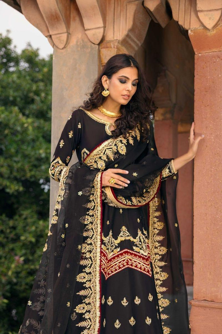 Basit Sipra - MUMTAZ MAHAL D02 - Silk & Organza - black  - 2 Piece - Studio by TCS