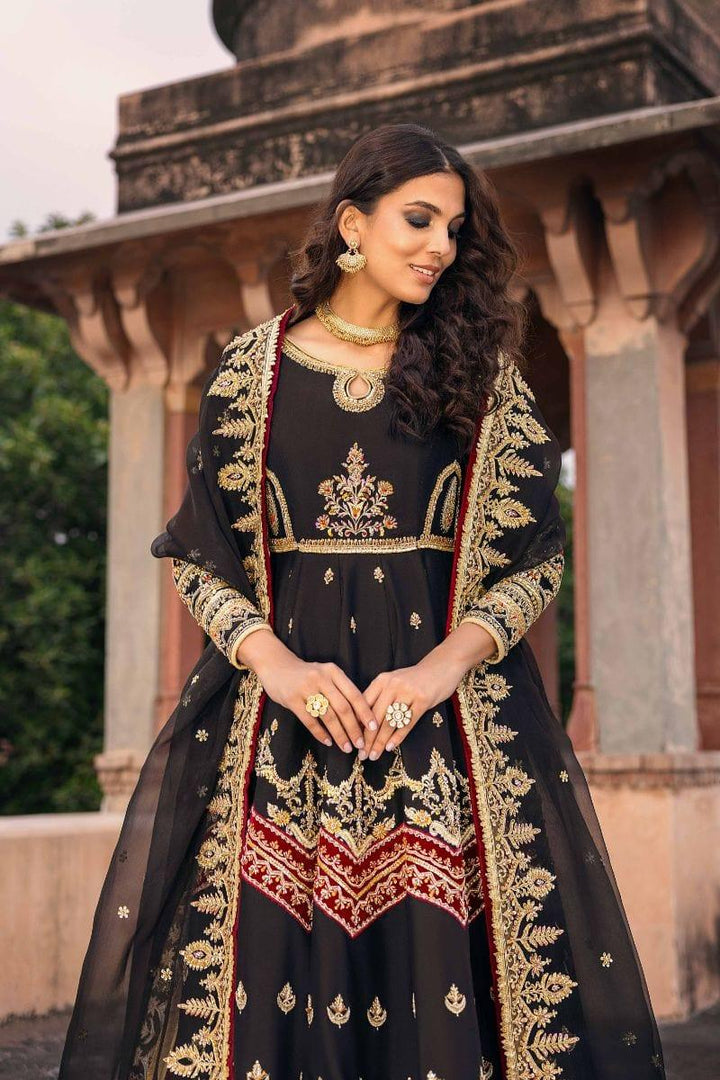 Basit Sipra - MUMTAZ MAHAL D02 - Silk & Organza - black  - 2 Piece - Studio by TCS