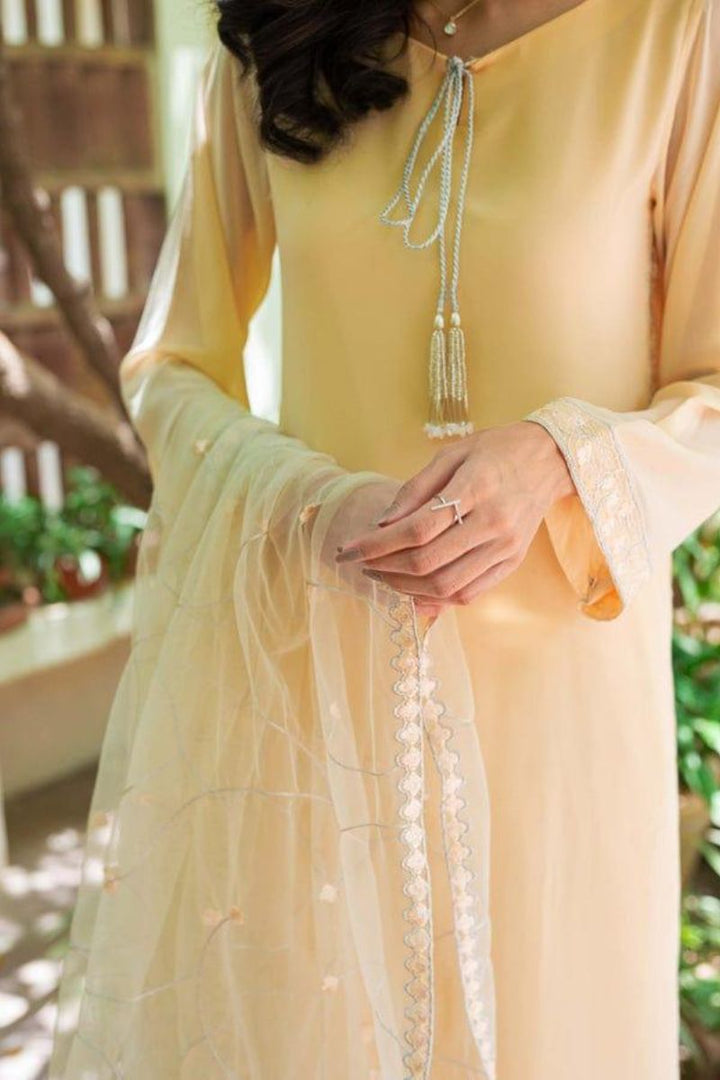 Natasha Kamal - Apricot Orange Georgette Chiffon Shirt and Viscose Silk Pants with Net Dupatta - 3 Pieces