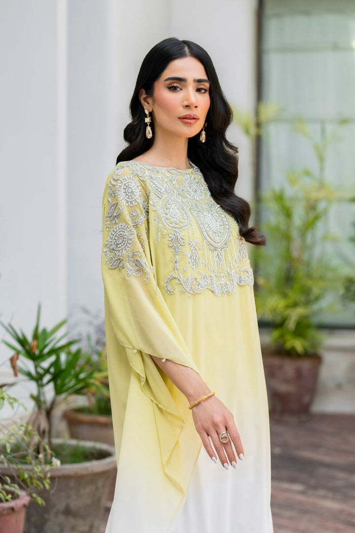 Natasha Kamal - Peridot - shaded kaftan - Georgette with slip of crepe de chin - 2 Piece