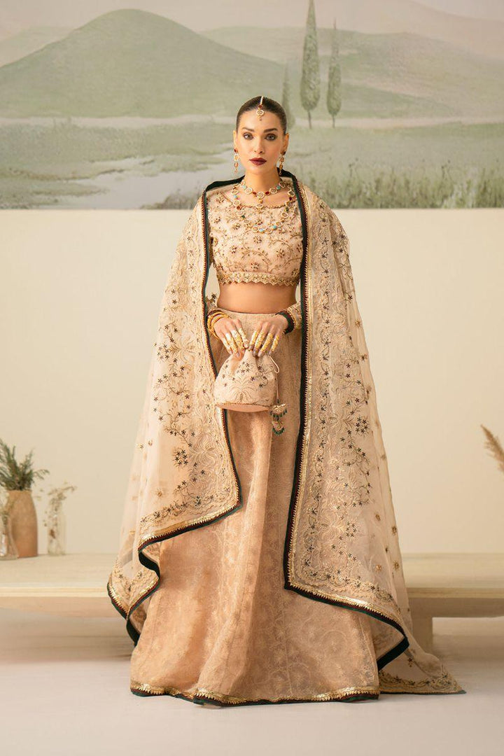 Fozia Khalid - Dilara - Beige - Organza - 3 Piece