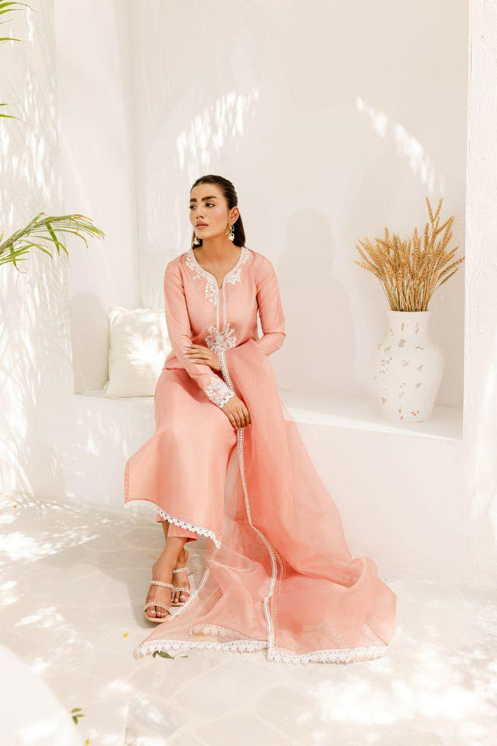 Allure by IH - ZINIA - Blush Pink - Silk & Organza - 3 Piece