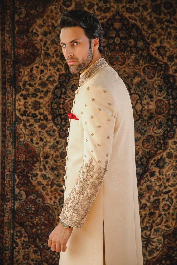 GEM Garments - Zaheer - Sherwani - Biege - 1 Piece - Viscose Polyester - Studio by TCS