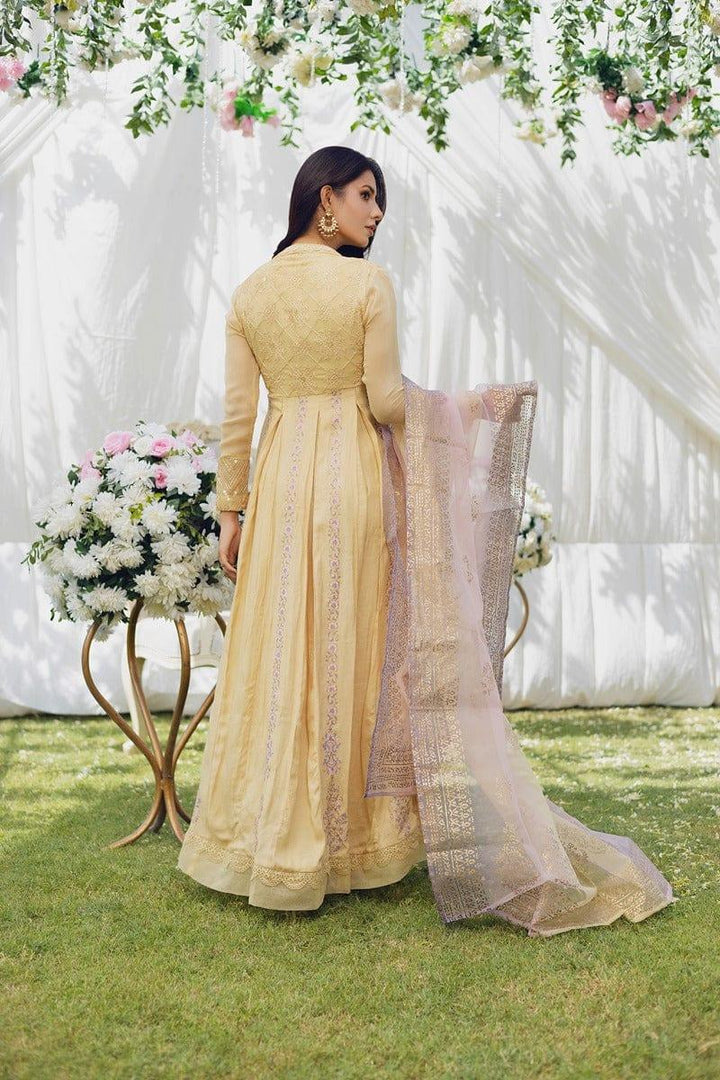 Aisha Fatema - Honey Hue - Embroidered Chiffon - 2 Piece - Studio by TCS